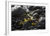 Rocky Shore I-Rita Crane-Framed Photographic Print