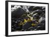 Rocky Shore I-Rita Crane-Framed Photographic Print