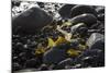 Rocky Shore I-Rita Crane-Mounted Photographic Print