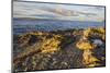 Rocky shore near Catacol looking out across the Kilbrannan Sound to Mull of Kintyre, Isle of Arran,-Gary Cook-Mounted Photographic Print