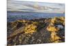 Rocky shore near Catacol looking out across the Kilbrannan Sound to Mull of Kintyre, Isle of Arran,-Gary Cook-Mounted Photographic Print