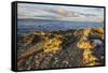 Rocky shore near Catacol looking out across the Kilbrannan Sound to Mull of Kintyre, Isle of Arran,-Gary Cook-Framed Stretched Canvas