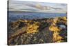 Rocky shore near Catacol looking out across the Kilbrannan Sound to Mull of Kintyre, Isle of Arran,-Gary Cook-Stretched Canvas