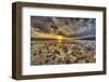 Rocky Shore near Kaleahi at sunrise, North Shore, Lanai Island, Hawaii-Stuart Westmorland-Framed Photographic Print