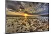 Rocky Shore near Kaleahi at sunrise, North Shore, Lanai Island, Hawaii-Stuart Westmorland-Mounted Photographic Print