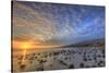 Rocky Shore near Kaleahi at sunrise, North Shore, Lanai Island, Hawaii-Stuart Westmorland-Stretched Canvas