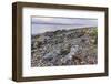 Rocky shore near Pirnmill looking out across the Kilbrannan Sound to Mull of Kintyre, Isle of Arran-Gary Cook-Framed Photographic Print