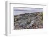 Rocky shore near Pirnmill looking out across the Kilbrannan Sound to Mull of Kintyre, Isle of Arran-Gary Cook-Framed Photographic Print