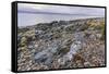 Rocky shore near Pirnmill looking out across the Kilbrannan Sound to Mull of Kintyre, Isle of Arran-Gary Cook-Framed Stretched Canvas