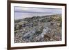 Rocky shore near Pirnmill looking out across the Kilbrannan Sound to Mull of Kintyre, Isle of Arran-Gary Cook-Framed Photographic Print