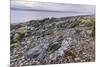 Rocky shore near Pirnmill looking out across the Kilbrannan Sound to Mull of Kintyre, Isle of Arran-Gary Cook-Mounted Photographic Print