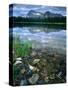 Rocky Shore of Frog Lake, Challis National Forest, Sawtooth National Recreation Area, Idaho, USA-Scott T^ Smith-Stretched Canvas