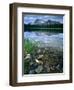 Rocky Shore of Frog Lake, Challis National Forest, Sawtooth National Recreation Area, Idaho, USA-Scott T^ Smith-Framed Photographic Print
