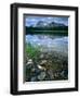 Rocky Shore of Frog Lake, Challis National Forest, Sawtooth National Recreation Area, Idaho, USA-Scott T^ Smith-Framed Photographic Print