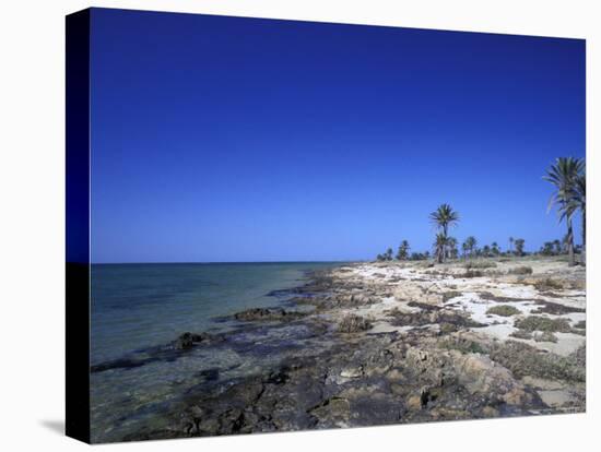 Rocky Shore of Kerkennah Islands, Tunisia-Michele Molinari-Stretched Canvas