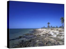 Rocky Shore of Kerkennah Islands, Tunisia-Michele Molinari-Stretched Canvas