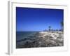 Rocky Shore of Kerkennah Islands, Tunisia-Michele Molinari-Framed Photographic Print