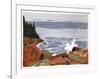 Rocky Shore-Joe Fiore-Framed Collectable Print