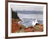 Rocky Shore-Joe Fiore-Framed Collectable Print