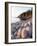 Rocky Shore-Jim Zuckerman-Framed Photographic Print