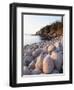 Rocky Shore-Jim Zuckerman-Framed Photographic Print