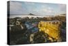 Rocky Shoreline and St. Michaels Mount, Early Morning, Cornwall, England, United Kingdom, Europe-Mark Doherty-Stretched Canvas