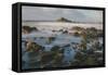 Rocky Shoreline and St. Michaels Mount, Early Morning, Cornwall, England, United Kingdom, Europe-Mark Doherty-Framed Stretched Canvas