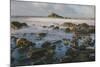 Rocky Shoreline and St. Michaels Mount, Early Morning, Cornwall, England, United Kingdom, Europe-Mark Doherty-Mounted Photographic Print