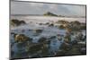 Rocky Shoreline and St. Michaels Mount, Early Morning, Cornwall, England, United Kingdom, Europe-Mark Doherty-Mounted Photographic Print