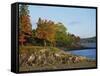 Rocky Shoreline and Trees at the Scenic Harbour, Bar Harbour, Maine, New England, USA-Amanda Hall-Framed Stretched Canvas