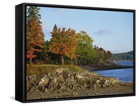 Rocky Shoreline and Trees at the Scenic Harbour, Bar Harbour, Maine, New England, USA-Amanda Hall-Framed Stretched Canvas