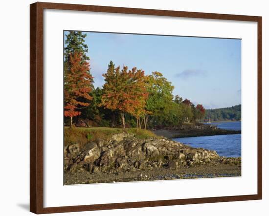 Rocky Shoreline and Trees at the Scenic Harbour, Bar Harbour, Maine, New England, USA-Amanda Hall-Framed Photographic Print