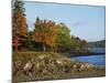 Rocky Shoreline and Trees at the Scenic Harbour, Bar Harbour, Maine, New England, USA-Amanda Hall-Mounted Photographic Print