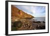 Rocky Shoreline Below Carr Naze-Mark Sunderland-Framed Photographic Print