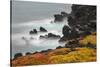 Rocky shoreline covered in Sesuvium, South Plaza Island, Galapagos Islands, Ecuador.-Adam Jones-Stretched Canvas