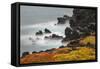 Rocky shoreline covered in Sesuvium, South Plaza Island, Galapagos Islands, Ecuador.-Adam Jones-Framed Stretched Canvas