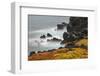 Rocky shoreline covered in Sesuvium, South Plaza Island, Galapagos Islands, Ecuador.-Adam Jones-Framed Photographic Print