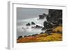 Rocky shoreline covered in Sesuvium, South Plaza Island, Galapagos Islands, Ecuador.-Adam Jones-Framed Photographic Print