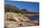 Rocky Shoreline of Acadia , Maine-George Oze-Mounted Photographic Print