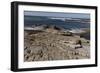 Rocky Shoreline of Morro Bay State Park-Carol Highsmith-Framed Photo