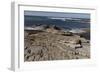 Rocky Shoreline of Morro Bay State Park-Carol Highsmith-Framed Photo