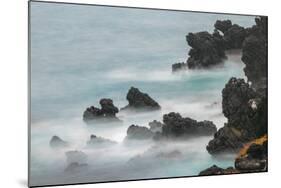 Rocky shoreline of South Plaza Island, Galapagos Islands, Ecuador.-Adam Jones-Mounted Photographic Print