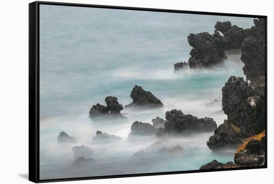 Rocky shoreline of South Plaza Island, Galapagos Islands, Ecuador.-Adam Jones-Framed Stretched Canvas