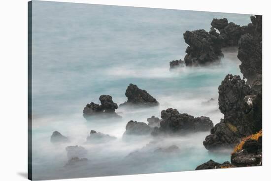 Rocky shoreline of South Plaza Island, Galapagos Islands, Ecuador.-Adam Jones-Stretched Canvas