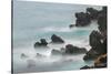 Rocky shoreline of South Plaza Island, Galapagos Islands, Ecuador.-Adam Jones-Stretched Canvas