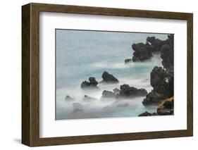 Rocky shoreline of South Plaza Island, Galapagos Islands, Ecuador.-Adam Jones-Framed Photographic Print