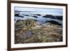 Rocky Shoreline, St. Andrews, Fife, Scotland, United Kingdom, Europe-Mark-Framed Photographic Print