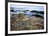 Rocky Shoreline, St. Andrews, Fife, Scotland, United Kingdom, Europe-Mark-Framed Photographic Print