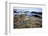 Rocky Shoreline, St. Andrews, Fife, Scotland, United Kingdom, Europe-Mark-Framed Photographic Print