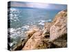 Rocky Shoreline with Salt Crystals, Dead Sea, Jordan-Cindy Miller Hopkins-Stretched Canvas